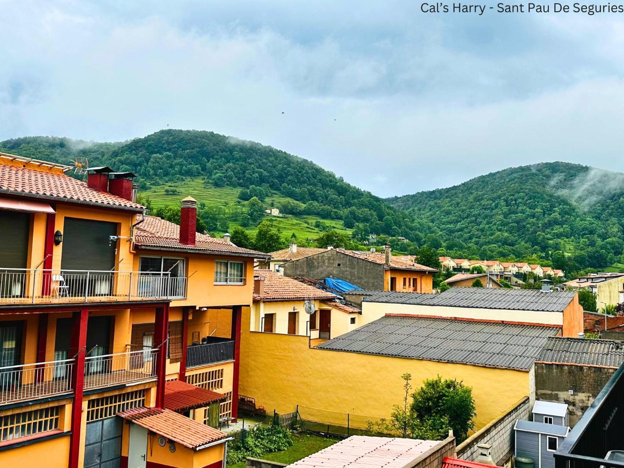Cal Harrys - La Mejor Casa De Vacaciones En Pyrenees Con Vistas A La Montana Sant Pau de Seguries Dış mekan fotoğraf