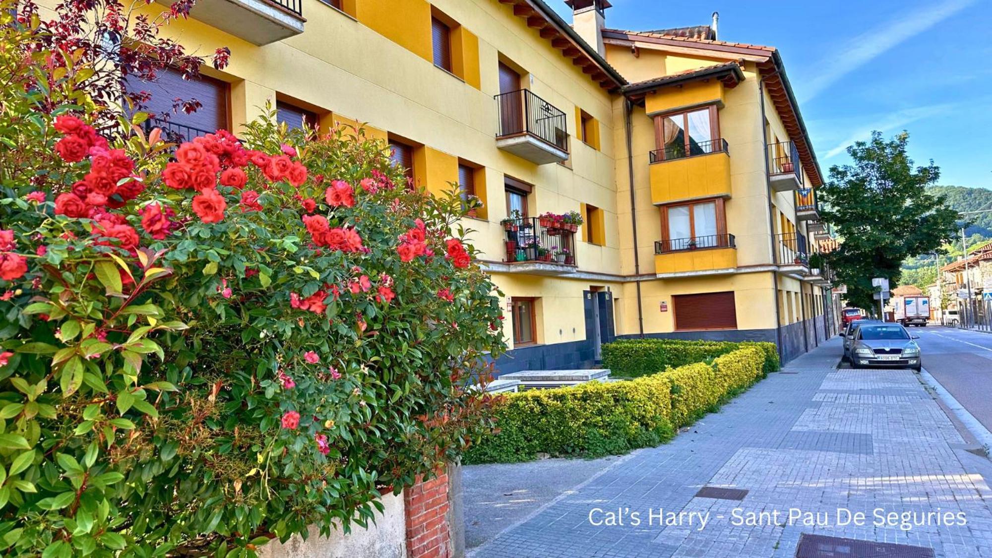 Cal Harrys - La Mejor Casa De Vacaciones En Pyrenees Con Vistas A La Montana Sant Pau de Seguries Dış mekan fotoğraf